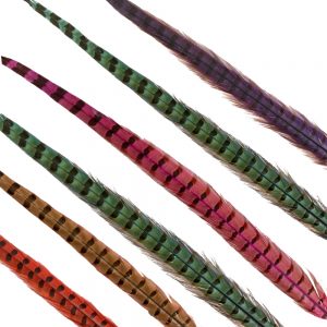 PLUMES FAISAN 50 55CM
