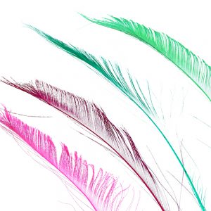 PLUME ÉPÉE 30CM