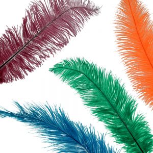 PLUME AUTRUCHE 4050CM