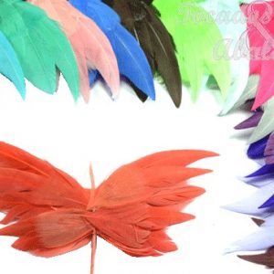 Mariposa de plumas