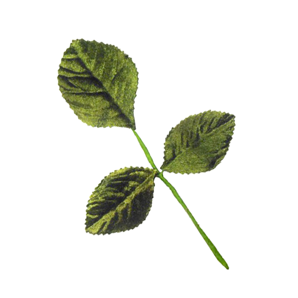 3 FEUILLES VELOURS 3 FEUILLES VELOURS