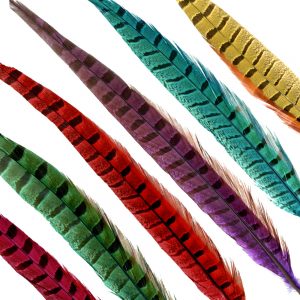 PLUME FAISAN 30 35CM