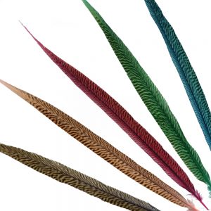 PLUME FAISAN DORÉ 45 50CM