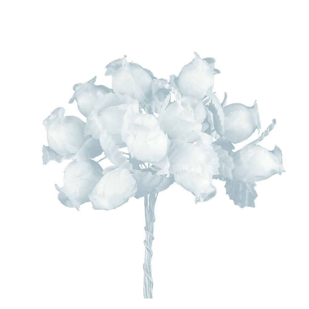 bouquet boutons rose blanc bouquet boutons rose blanc
