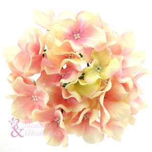 Flor Hortensia