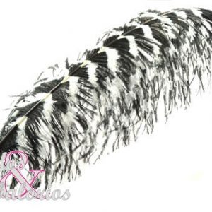 Spadona Especial 60/70 cm [ALTA SELECCION]