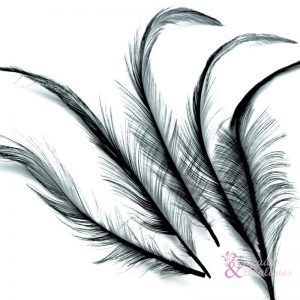Bolsa Pluma Gallo quemada [ALTA CALIDAD]