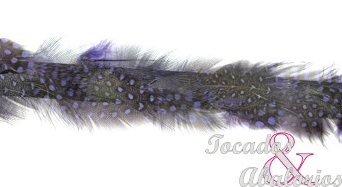 Galon Pluma Guinea 3 CM Galon Pluma Guinea 3 CM