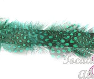 Galon Pluma Guinea 3 CM