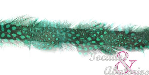 Galon Pluma Guinea 3 CM Galon Pluma Guinea 3 CM