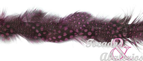 Galon Pluma Guinea 3 CM Galon Pluma Guinea 3 CM