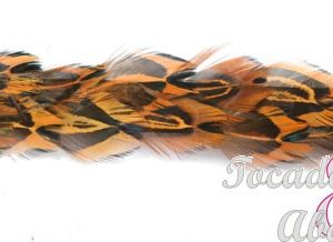 Galon Pluma faisan 3 CM