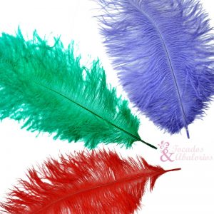 Pluma Avestruz 25/30 CM