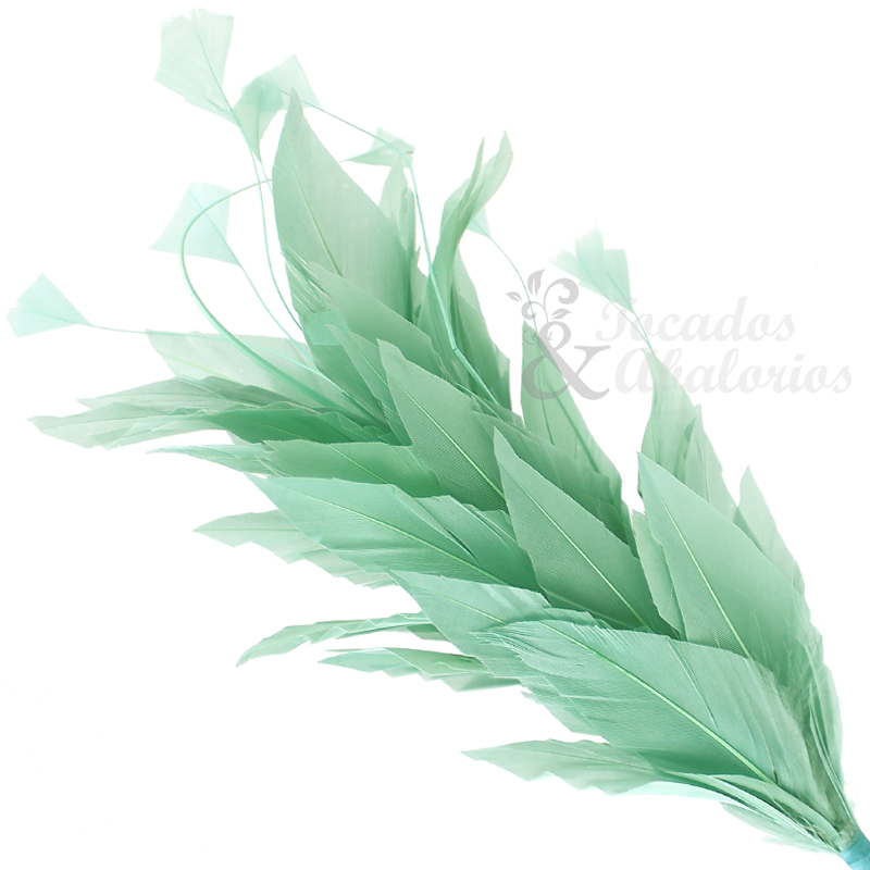 Afrodita verde agua