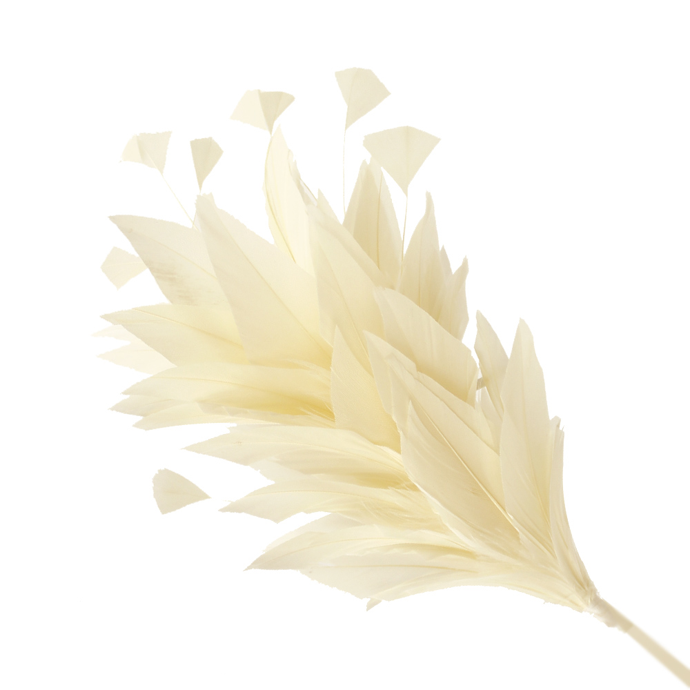pomo de plumas afrodita crudo pomo de plumas afrodita crudo