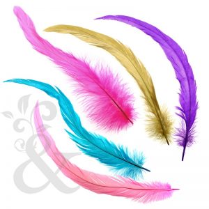 Pluma gallo 18/25cm c/defect