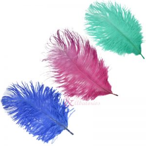 Plumas Avestruz 10-15cm c/def