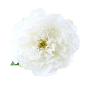 flor paula 16 cm crudo
