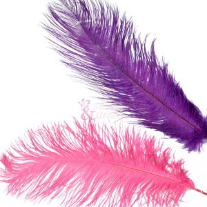 Pluma Avestruz 35/40 CM