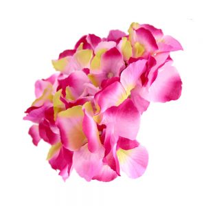 HORTENSIA 1820 rose