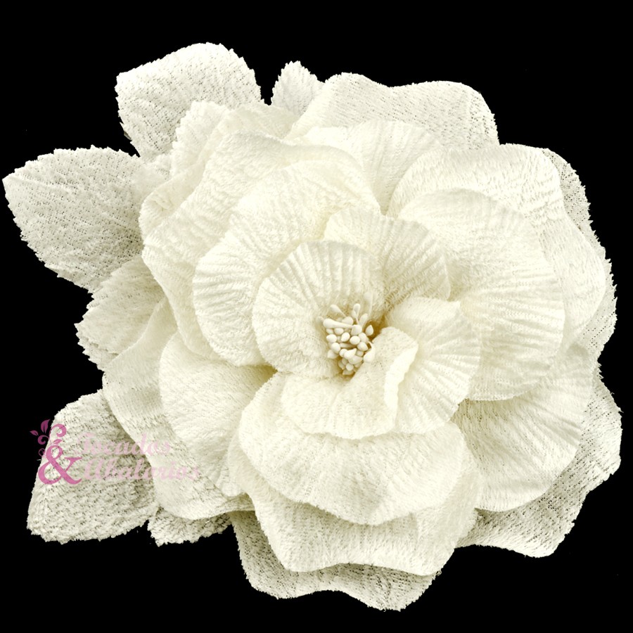 Flor Livia Flor Livia
