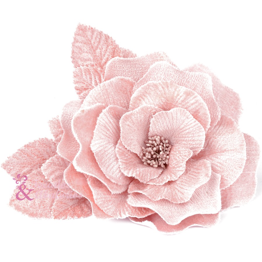 Flor Livia Flor Livia
