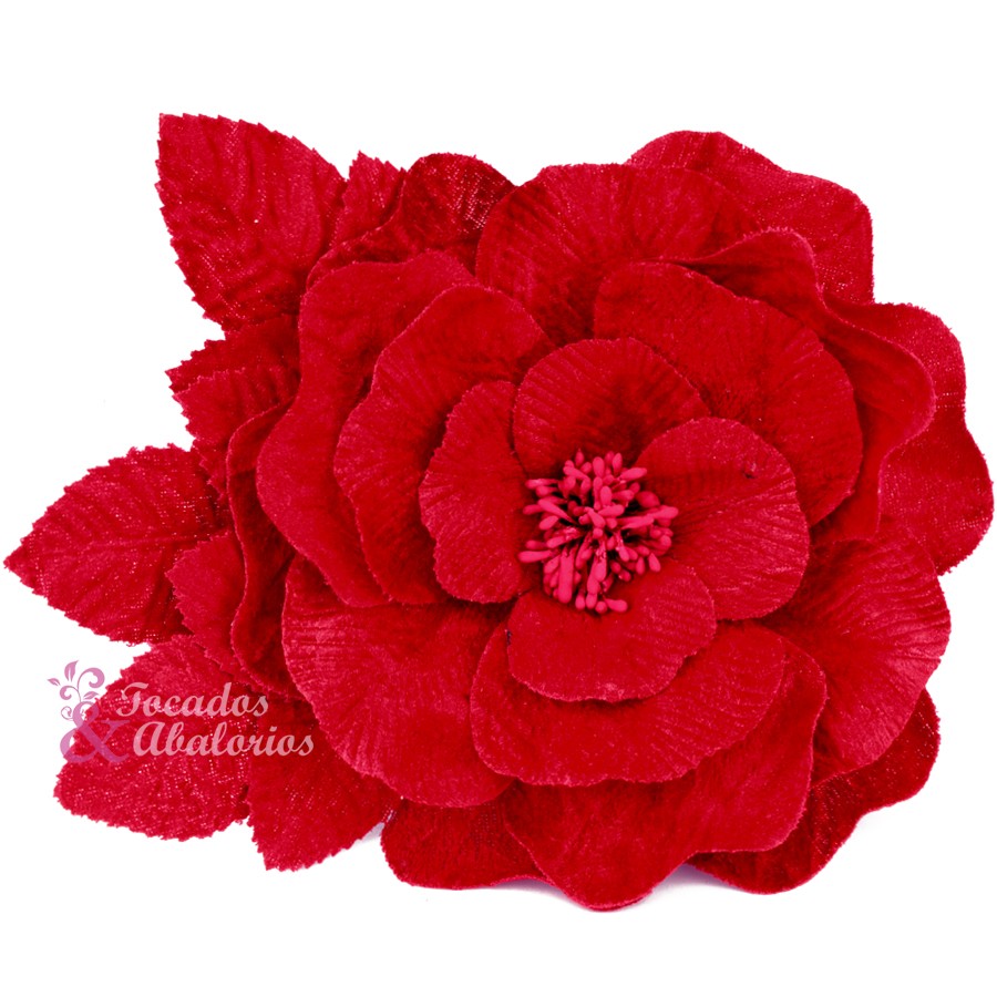 Flor Livia Flor Livia