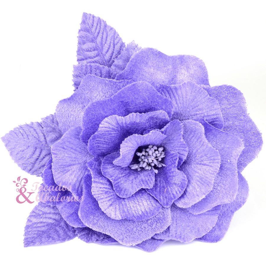 Flor Livia Flor Livia