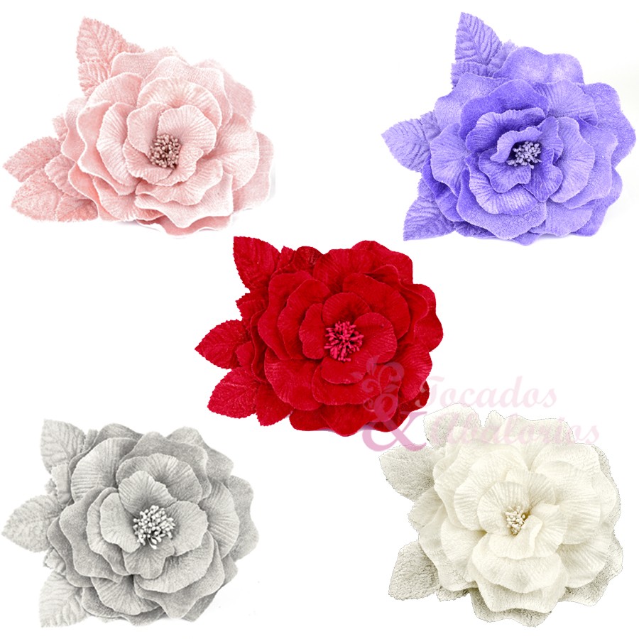 Flor Livia Flor Livia