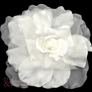Flor Magna