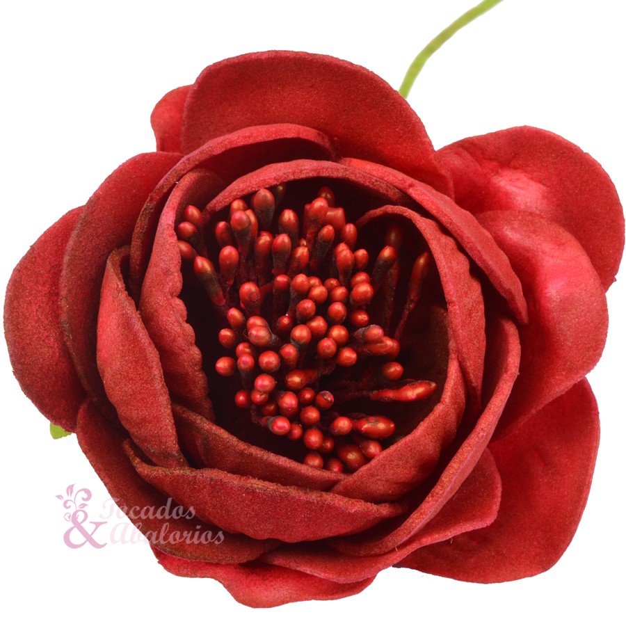 ROSAPOLA 7 cm. ROSAPOLA 7 cm.