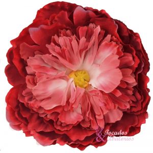flor Cristie
