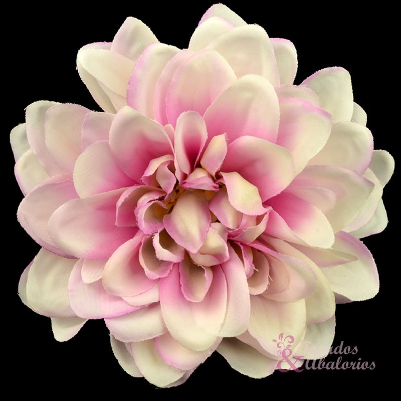 FLOR DALHIA ANTEA FLOR DALHIA ANTEA