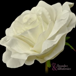 ROSA ABRIL