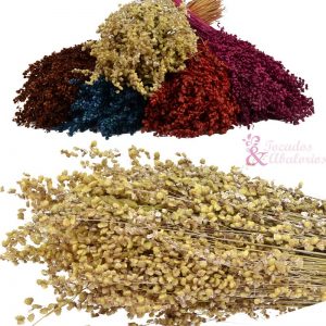 BRIZA MINI PRESERVADA