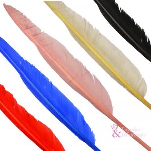 Pluma de ganso 25/35cm