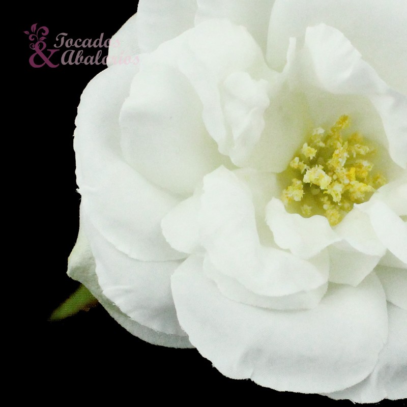 Rosa 10 cm. Rosa 10 cm.