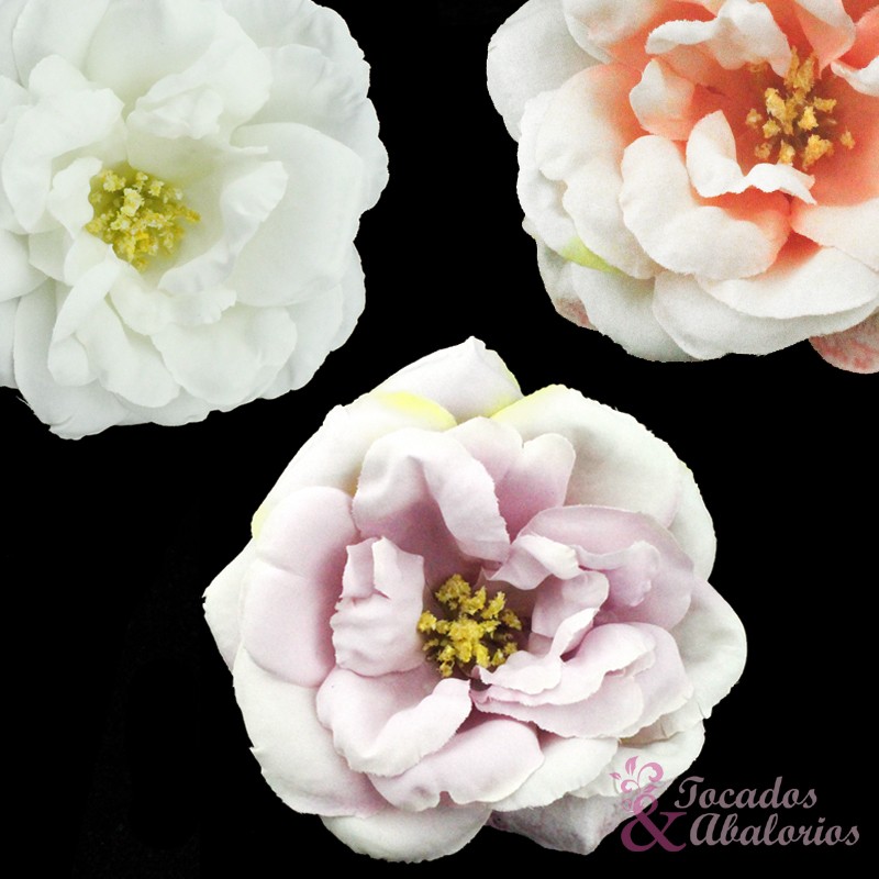 Rosa 10 cm. Rosa 10 cm.