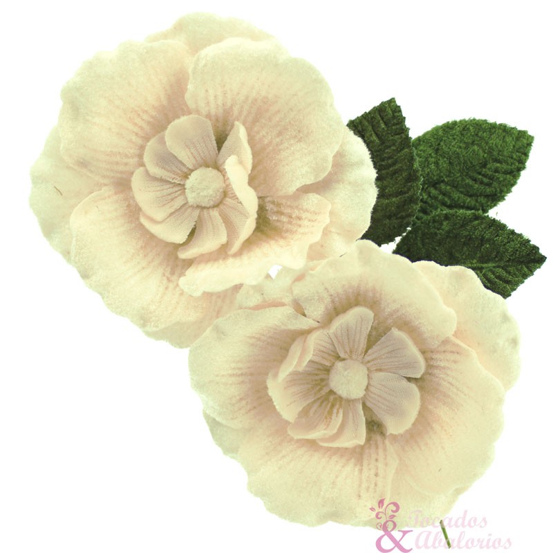 FLOR JAMALIA FLOR JAMALIA