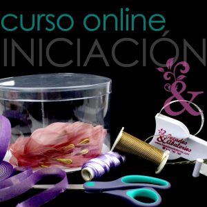 Curso online iniciación