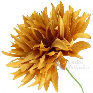 FLOR KUDÚ