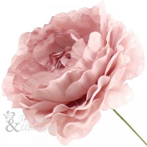 Flor Ana 9 cm
