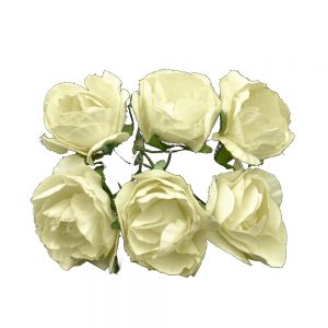BOUQUET ROSES PAPIER mimosa