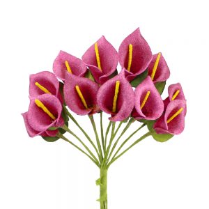 BOUQUET ZANTEDESCHIA CAOUTCHOUC boungainvillea