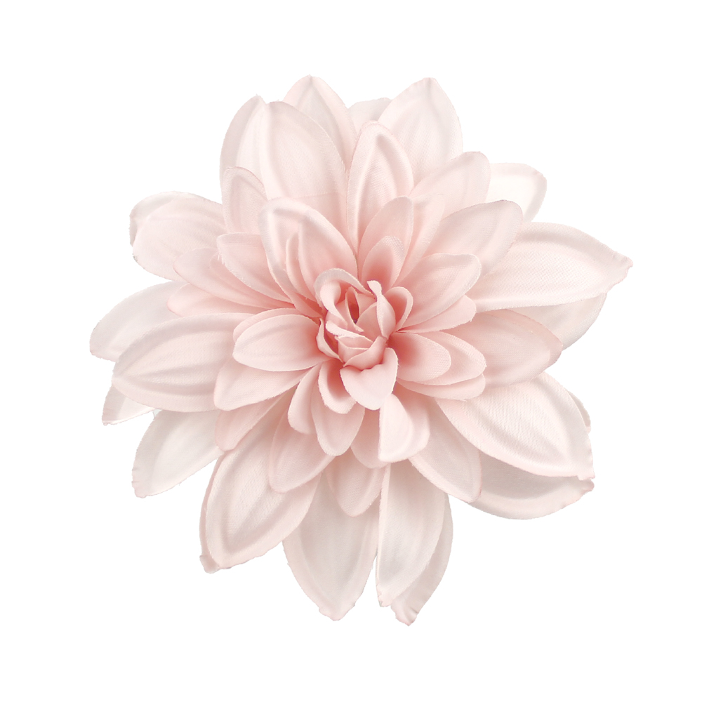 DAHLIA SUPREME rosebisque DAHLIA SUPREME rosebisque