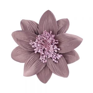 FLEUR ASTREA mauvepoudre