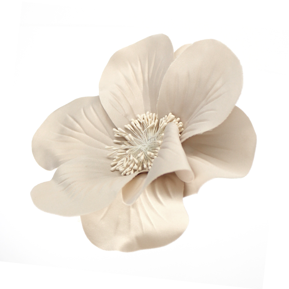 FLEUR EVANSI beige FLEUR EVANSI beige
