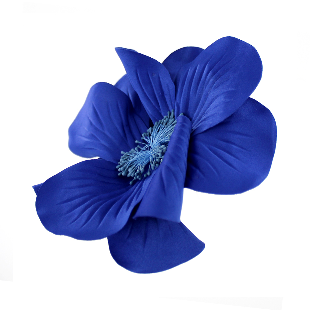 FLEUR EVANSI bleuklein2 FLEUR EVANSI bleuklein2