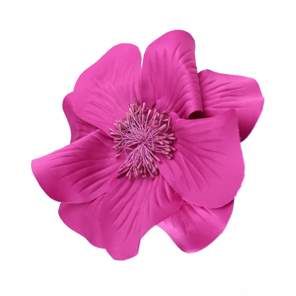 FLEUR EVANSI bougainvillea FLEUR EVANSI bougainvillea