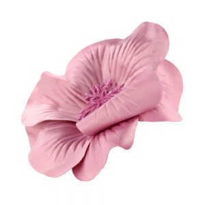 FLEUR EVANSI rose